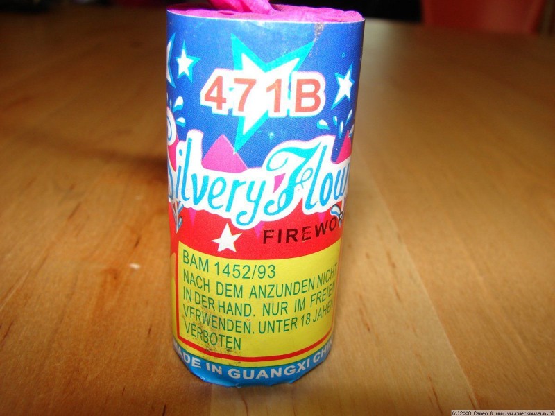 Silvery_flower_3