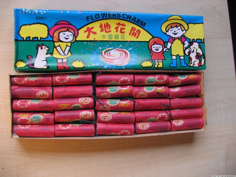 ground_bloom_flowers_3