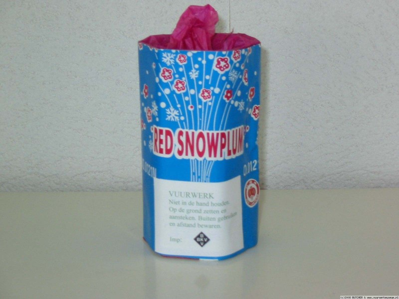 red_snow_plum_1
