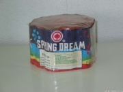 spring_dream_1