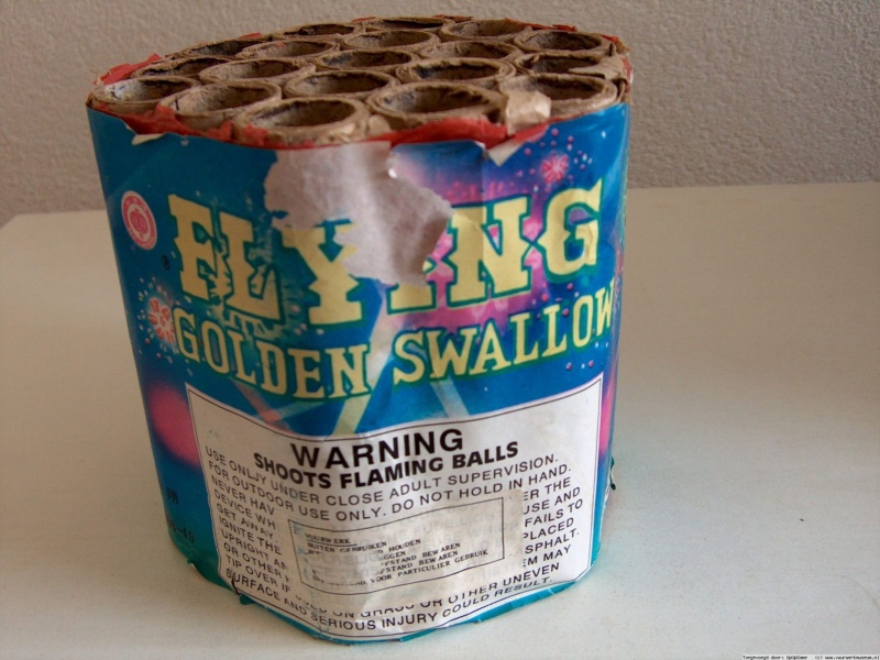 Flying_golden_swallow