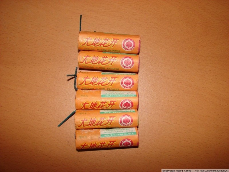 grondbloem_redlantern_1997_2